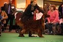 Crufts2011_2 164